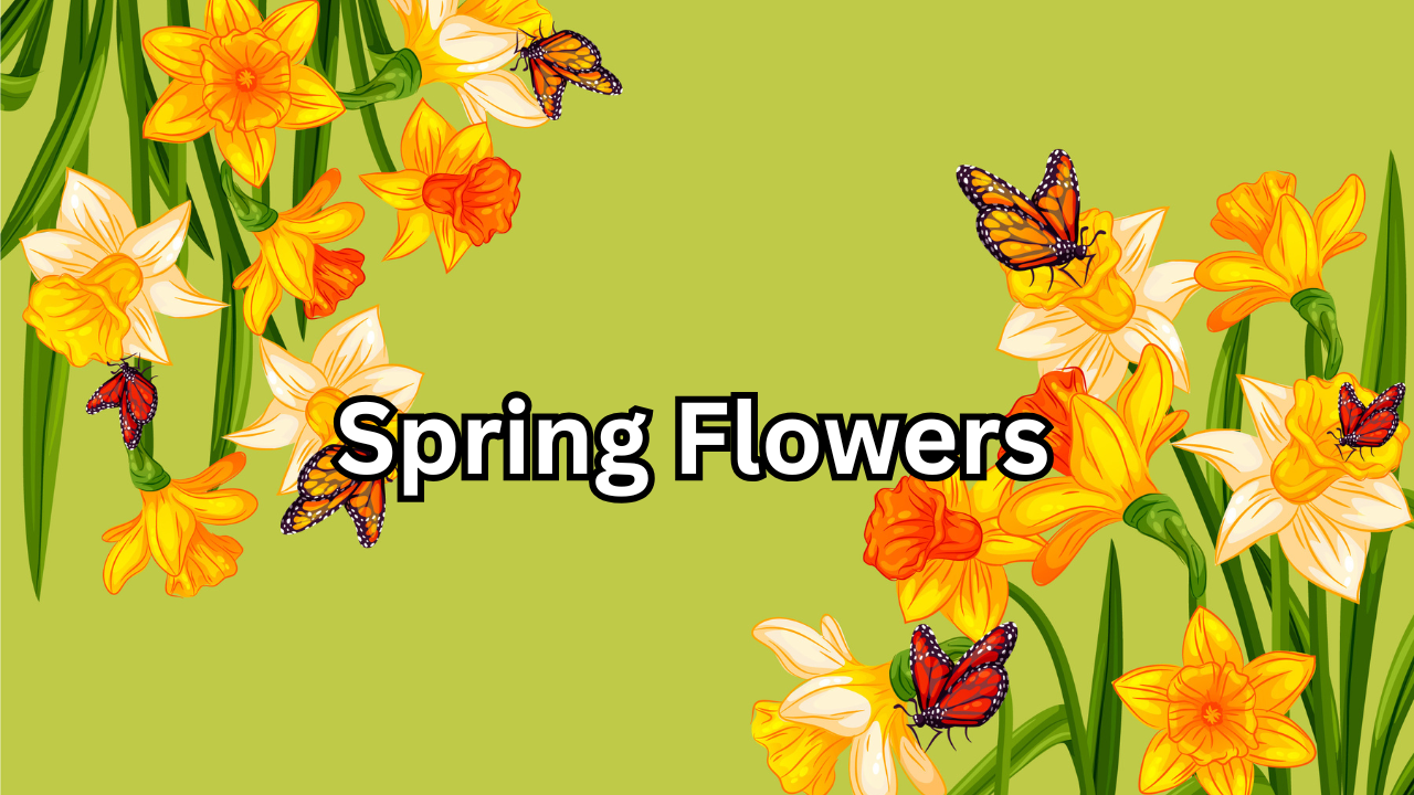 Spring Flowers A Powerful and Joyful Celebration of Nature’s Renewal