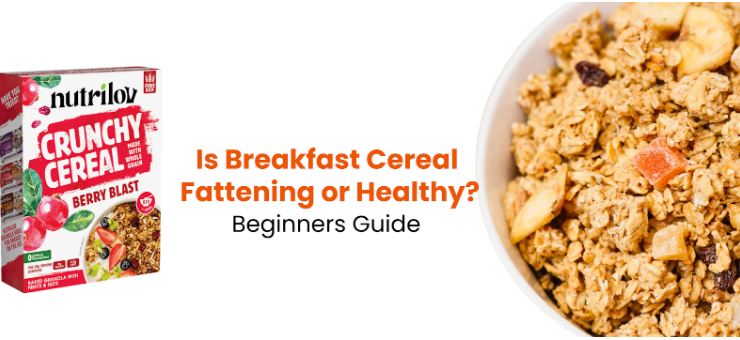 Is Breakfast Cereal Fattening or Healthy? Beginners Guide